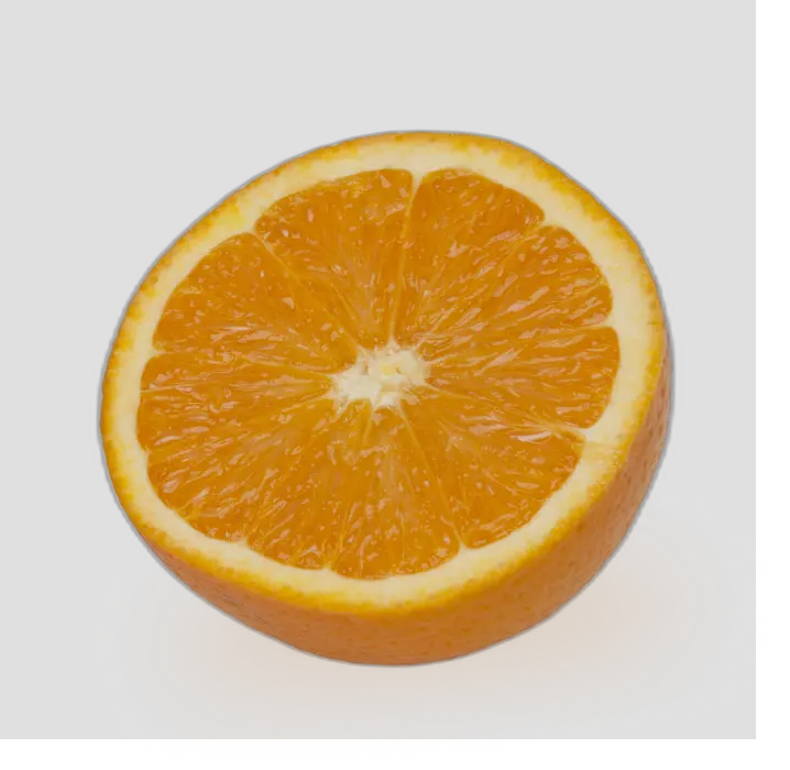 inside of an orange